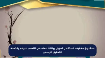 «حقائق مخفية» استغلال تمويل بيانات عملاء في النصب عليهم يفضحه التحقيق الرسمي
